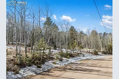 Lot 20 Echo Lake Drive, Lake George, CO 80827 - Photo 20