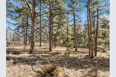 Lot 20 Echo Lake Drive, Lake George, CO 80827 - Photo 6