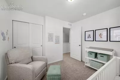 9341 Twin Sisters Drive, Colorado Springs, CO 80927 - Photo 26