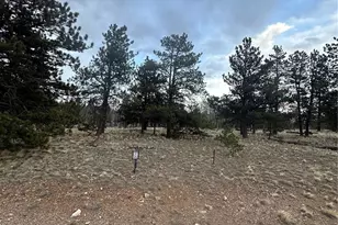 72 Sulky Ct, Hartsel, CO 80449 - Photo 1