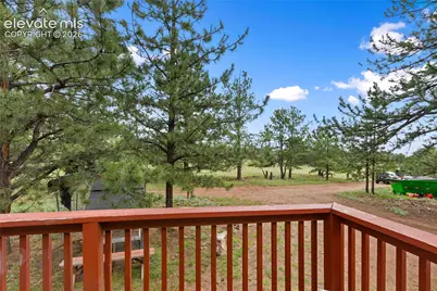 1395 Doe Valley Road, Guffey, CO 80820 - Photo 10