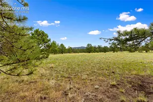1395 Doe Valley Rd, Guffey, CO 80820 - Photo 4