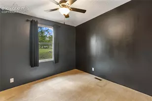 1395 Doe Valley Rd, Guffey, CO 80820 - Photo 36