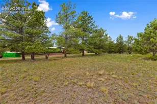1395 Doe Valley Rd, Guffey, CO 80820 - Photo 8
