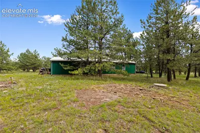 1395 Doe Valley Road, Guffey, CO 80820 - Photo 6
