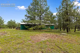 1395 Doe Valley Rd, Guffey, CO 80820 - Photo 6