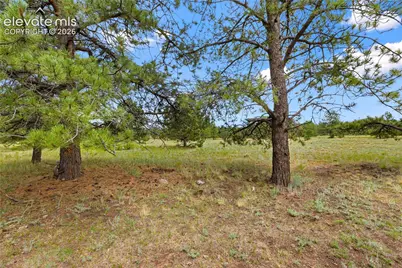 1395 Doe Valley Road, Guffey, CO 80820 - Photo 44