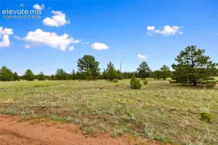 1395 Doe Valley Rd, Guffey, CO 80820 - Photo 14