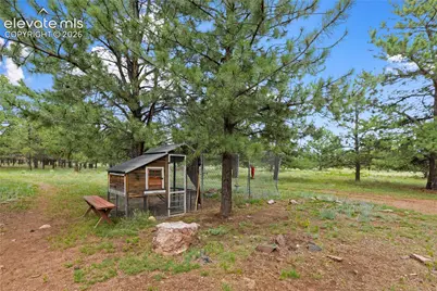 1395 Doe Valley Road, Guffey, CO 80820 - Photo 40