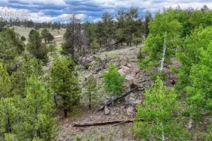 330 Arrowhead Dr, Florissant, CO 80816 - Photo 14