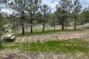 330 Arrowhead Dr, Florissant, CO 80816 - Photo 26
