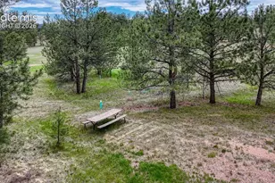 330 Arrowhead Dr, Florissant, CO 80816 - Photo 16