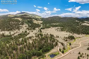 2416 Aspen Meadows Ln, Guffey, CO 80820 - Photo 46