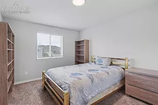 4974 Olympus Dr, Colorado Springs, CO 80924 - Photo 30