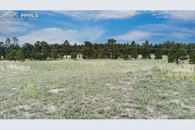 11809 Flap Jack Lane, Colorado Springs, CO 80908 - Photo 12