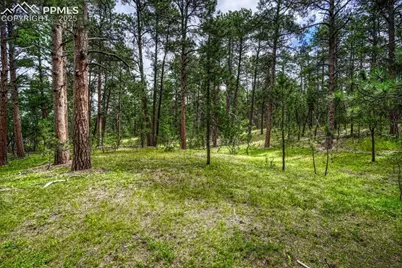 00 Club Drive, Colorado Springs, CO 80908 - Photo 24