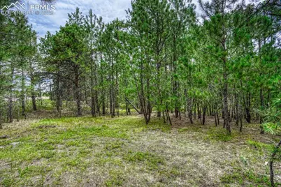 00 Club Drive, Colorado Springs, CO 80908 - Photo 20