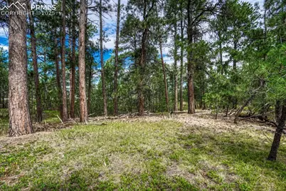 00 Club Drive, Colorado Springs, CO 80908 - Photo 22