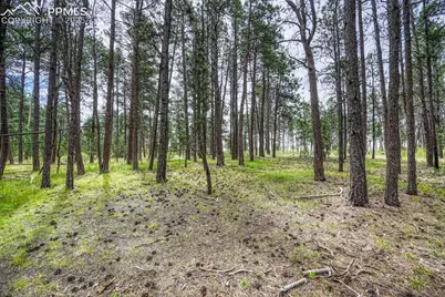 00 Club Drive, Colorado Springs, CO 80908 - Photo 30