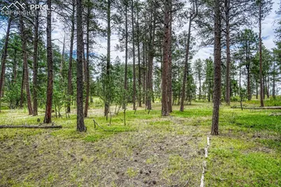 00 Club Drive, Colorado Springs, CO 80908 - Photo 32