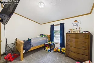 449 N Raynolds Ave, Canon City, CO 81212 - Photo 24