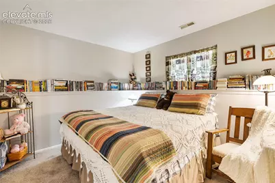 702 Sunnywood Loop, Woodland Park, CO 80863 - Photo 24