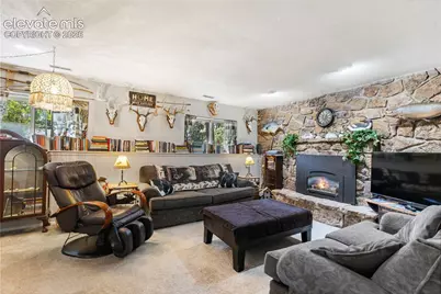 702 Sunnywood Loop, Woodland Park, CO 80863 - Photo 20