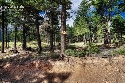 290 Earthsong Way, Manitou Springs, CO 80829 - Photo 38