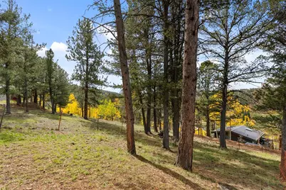 391 Timber Ridge Road, Divide, CO 80814 - Photo 8