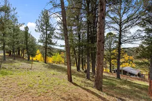 391 Timber Ridge Rd, Divide, CO 80814 - Photo 8