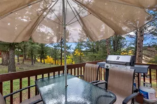 391 Timber Ridge Rd, Divide, CO 80814 - Photo 6