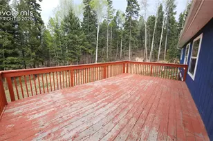 419 Donzi Trail, Florissant, CO 80816 - Photo 20