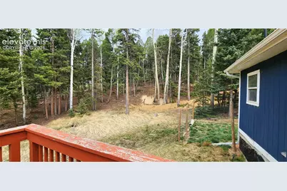 419 Donzi Trail, Florissant, CO 80816 - Photo 24