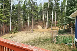419 Donzi Trail, Florissant, CO 80816 - Photo 24