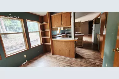 419 Donzi Trail, Florissant, CO 80816 - Photo 6