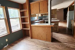 419 Donzi Trail, Florissant, CO 80816 - Photo 6