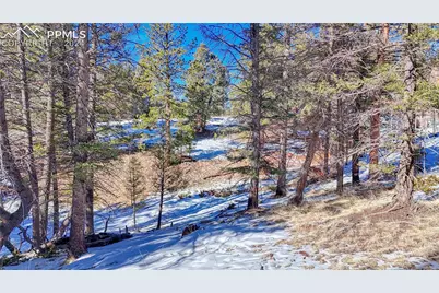 79 Huntsman Circle, Florissant, CO 80816 - Photo 26