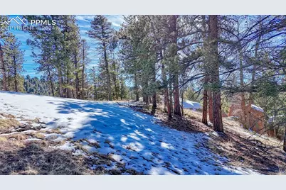 79 Huntsman Circle, Florissant, CO 80816 - Photo 30