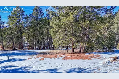 79 Huntsman Circle, Florissant, CO 80816 - Photo 4