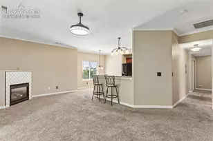 1695 Little Bear Creek Point, Colorado Springs, CO 80904 - Photo 8