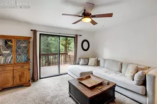 377 Ridge Rd, Divide, CO 80814 - Photo 26