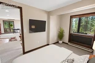 381 Saddleback Creek Dr, Florissant, CO 80816 - Photo 24