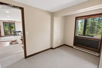 381 Saddleback Creek Drive, Florissant, CO 80816 - Photo 34