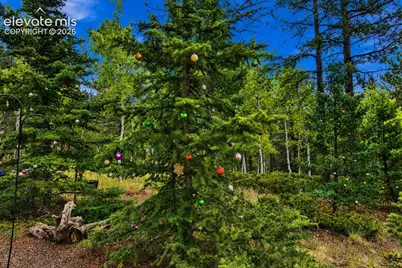 381 Saddleback Creek Drive, Florissant, CO 80816 - Photo 30