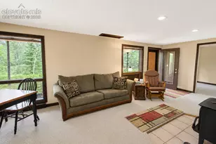 381 Saddleback Creek Dr, Florissant, CO 80816 - Photo 14