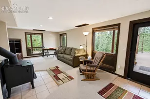 381 Saddleback Creek Dr, Florissant, CO 80816 - Photo 16