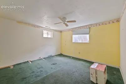 2438 Barkman Drive, Colorado Springs, CO 80916 - Photo 10
