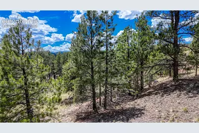 218 Princess Road, Cripple Creek, CO 80813 - Photo 8