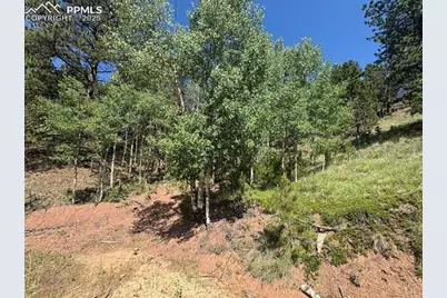 281 Pikes Peak Drive, Divide, CO 80814 - Photo 4