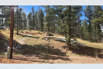 151 Mt Elbert Road, Florissant, CO 80816 - Photo 1